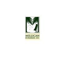 millican2