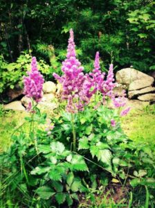 A871FB91-84BB-4FF8-8EFE-98F4B29BC2BD