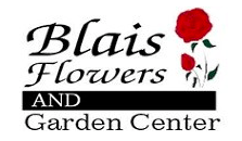 Screen-Shot-2019-09-14-at-6.19.27-PM-1