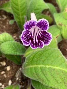 057FEB92-2EC6-4F9C-A2C2-78C0F44C6751