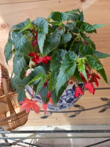 0599E6FF-2F9A-4756-9344-C361DE0CBCD4