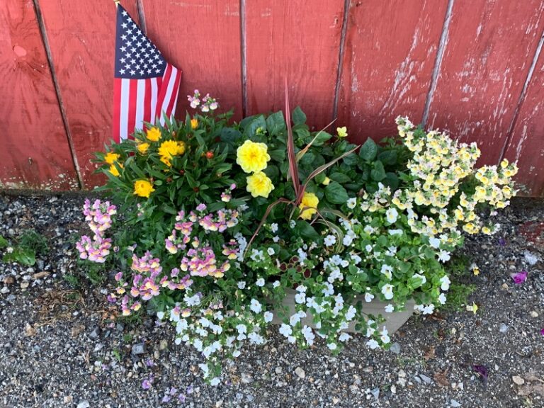 0850002D-3332-45F3-848F-6605BBB746D4