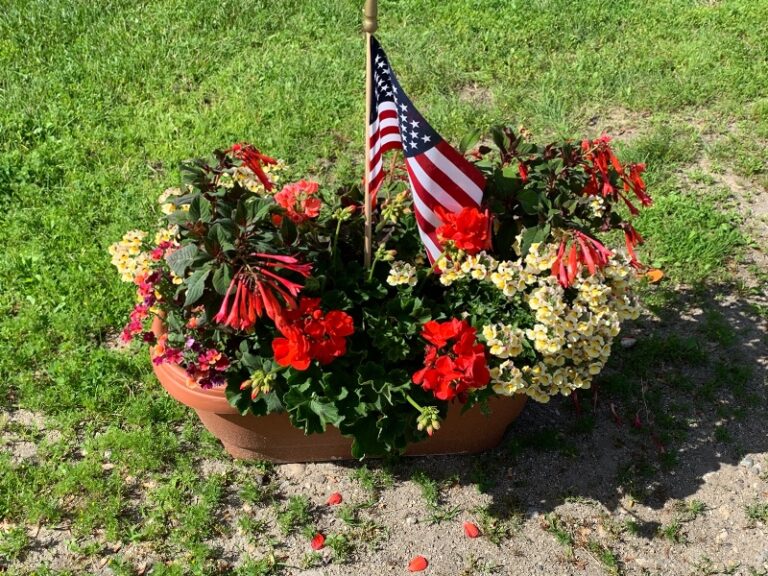 39D98D16-9199-4846-A5CB-B05A71EA6C14