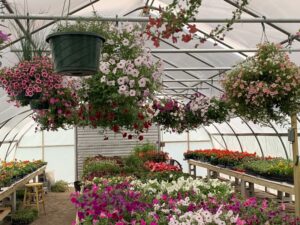 504FC7E6-1DB8-4DA6-A7AF-31F1D01C5FA6