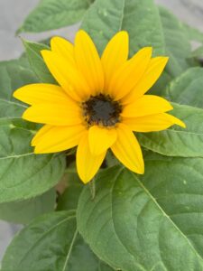 6D7E8465-343E-4FCD-805B-3A0F01B76FEC