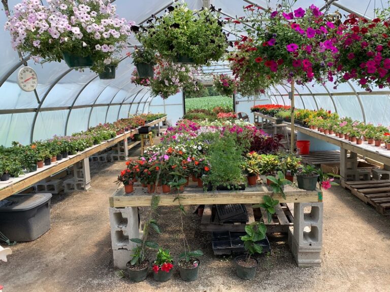 7B903D27-BB44-4F45-9911-86EDA4A9A4E6