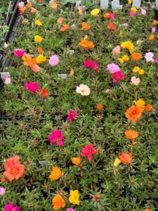 E0631CB9-E302-4FB5-9632-A148C17FC56B