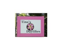 tinasdaylilies