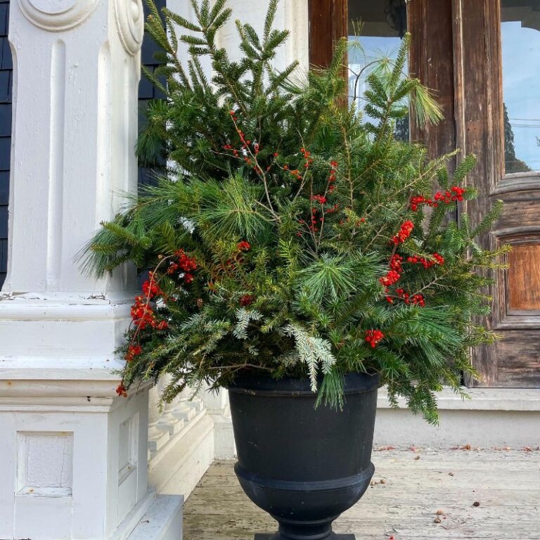 BCBDDFCF-6D5D-4466-8655-F8617145DCB9-2-1