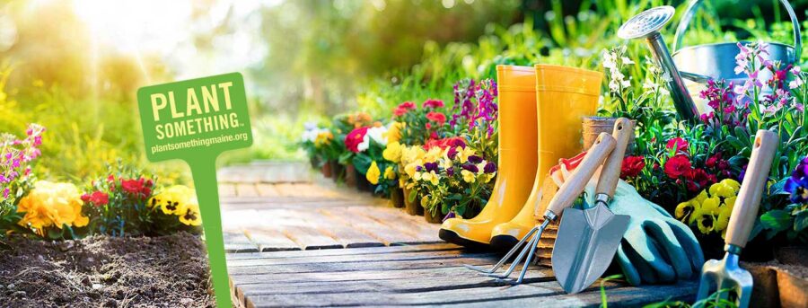 Plant Something Maine