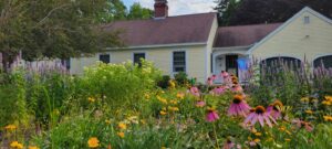 wylie melna pic 1 300x135