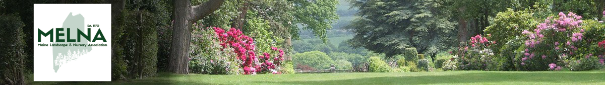 melna banner